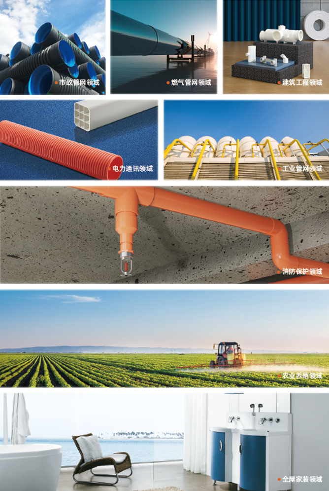 suncitygroup̫������(�й�)-�ٷ���վ