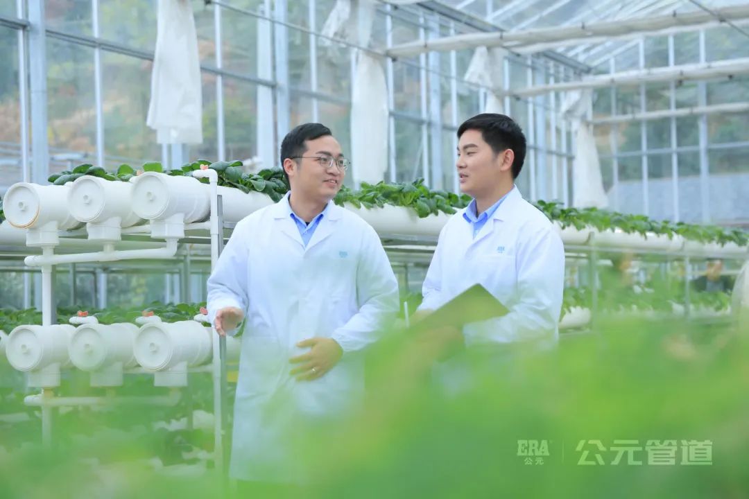 suncitygroup̫������(�й�)-�ٷ���վ