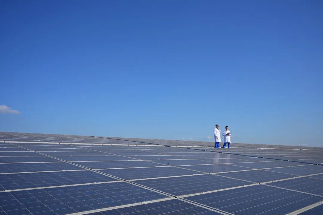 suncitygroup̫������(�й�)-�ٷ���վ